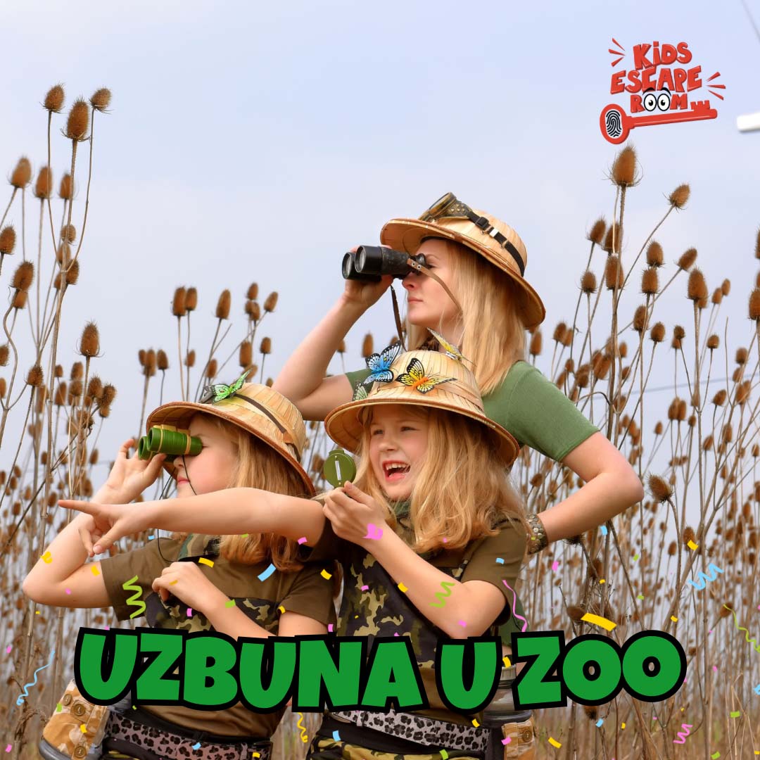 Vizuali 2026. za BIH web - 10